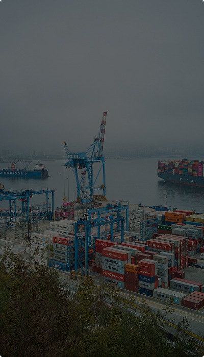Maritime Cargo Litigation